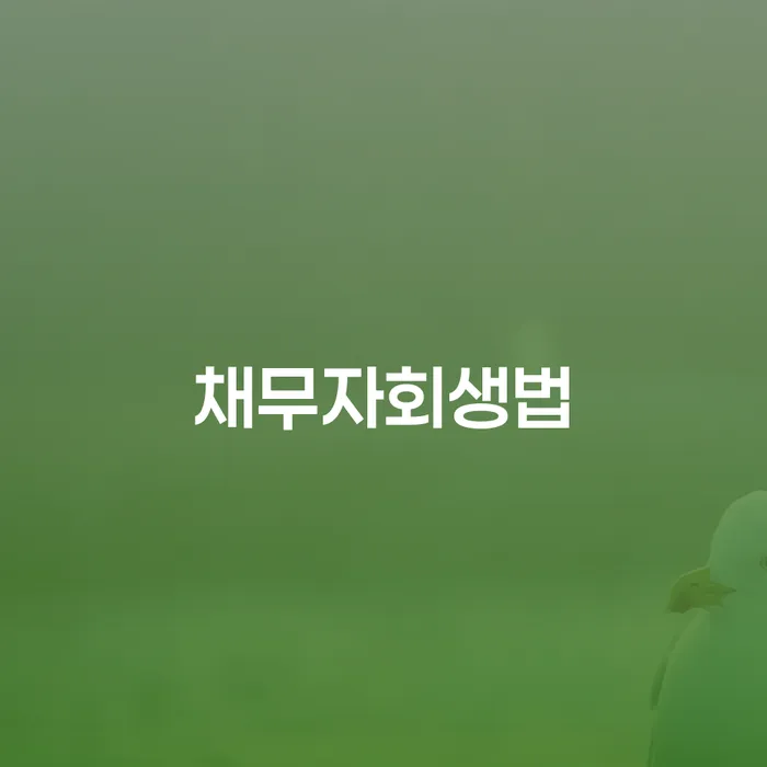 개인파산신청자격요건 개인파산 신청조차