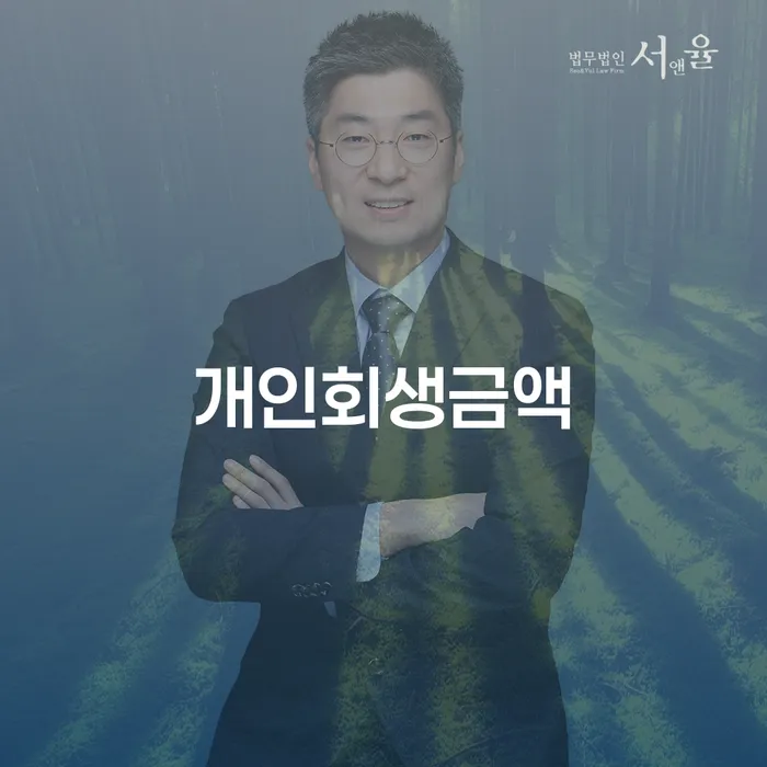 대출 연체 시 개인회생 처리방법 다른방법이