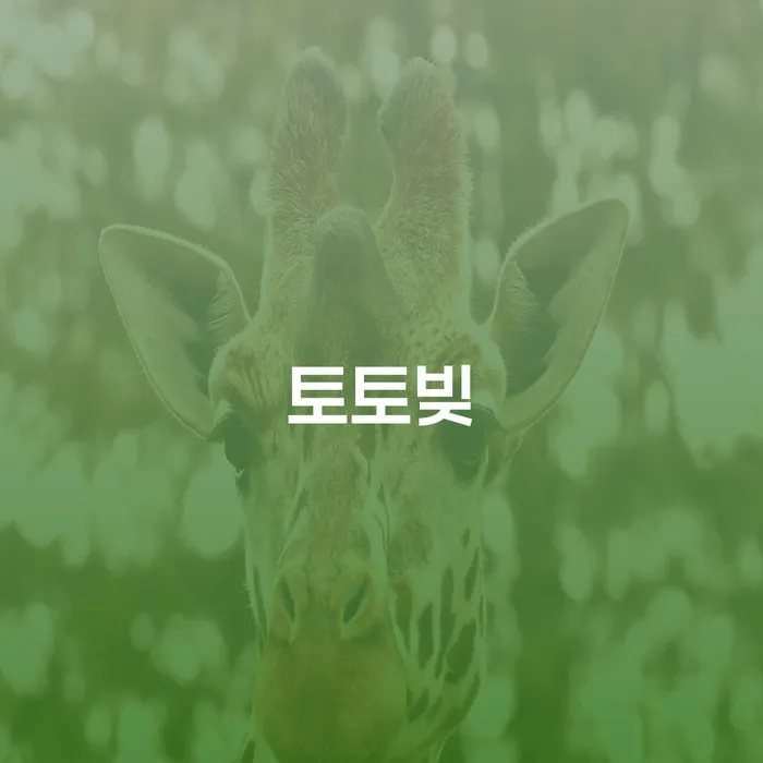 개인파산신청비용 빚 해결할 지식을