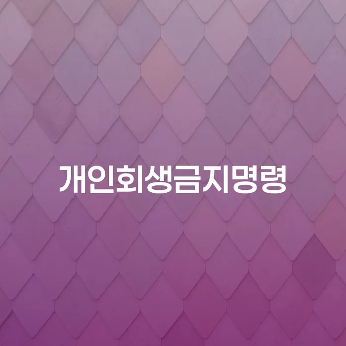 개인회생금지명령 대출 연체 개인회생 상담받아보기