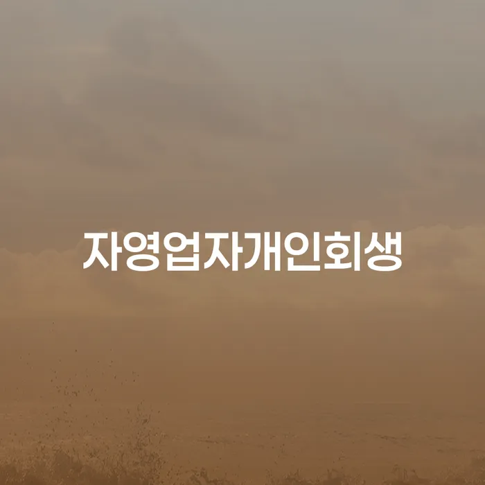 신용불량자사면 개인회생,개인파산으로 진행할 때 꼭 알아야 할
