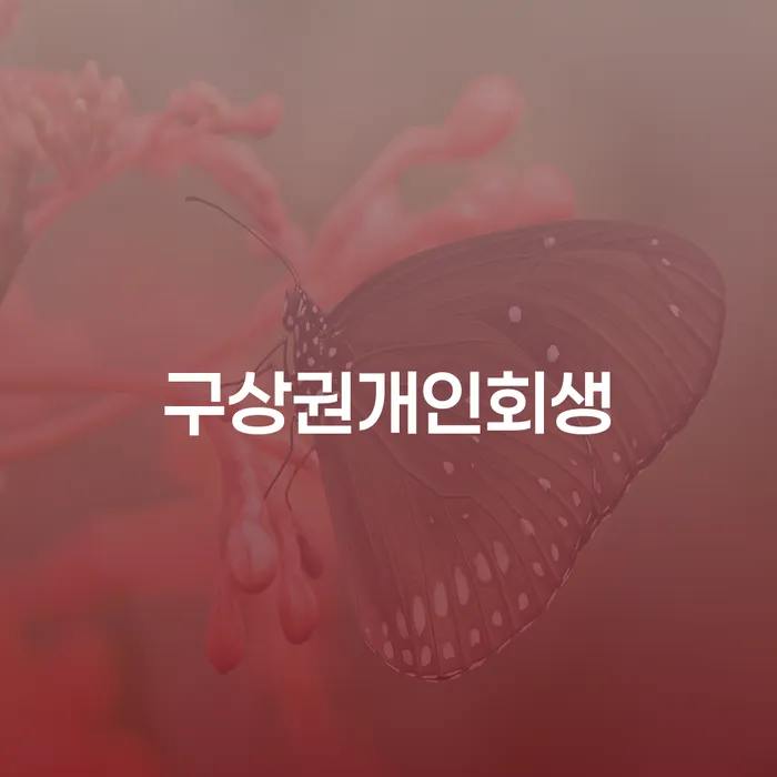서산시 다중채무자 연체 시 신용회복 잘하는 변호사