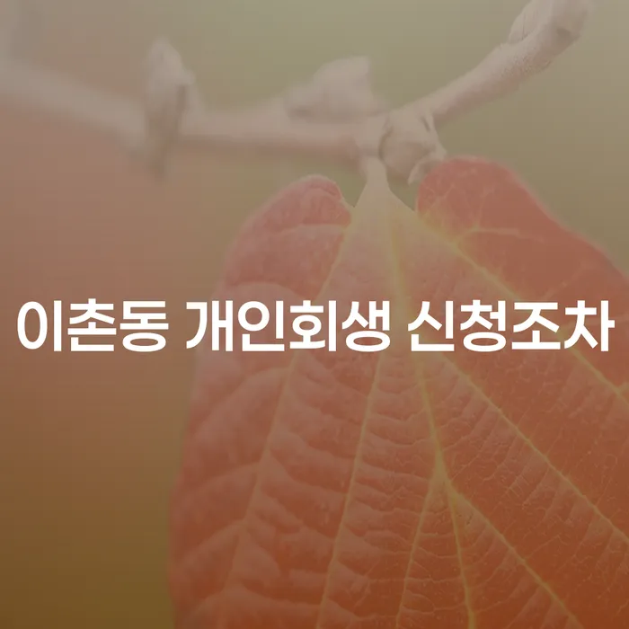 이촌동 개인회생 신청조차