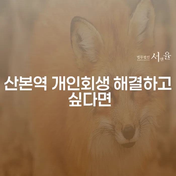 산본역 개인회생 해결하고 싶다면