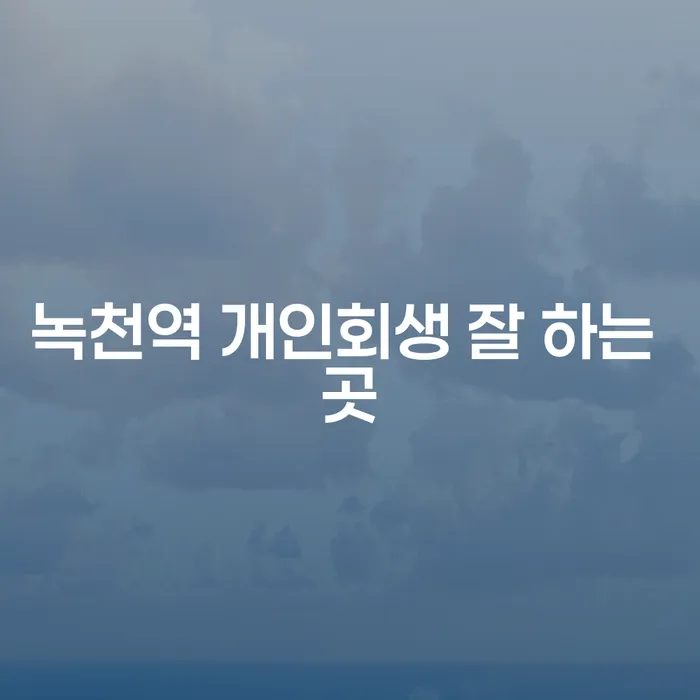 녹천역 개인회생 잘 하는 곳