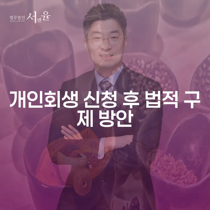 개인회생 신청 후 법적 구제 방안은 무엇인가요?