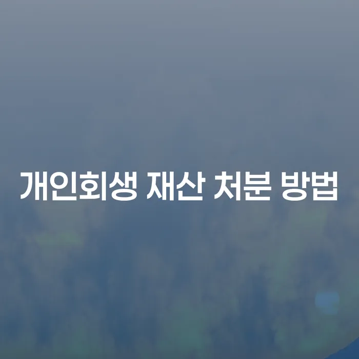 개인회생 재산 처분 방법, 정말 필요한가요?