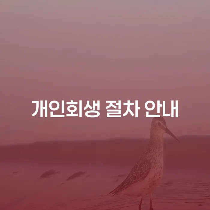 개인회생 절차 안내: 어떻게 시작해야 할까요?