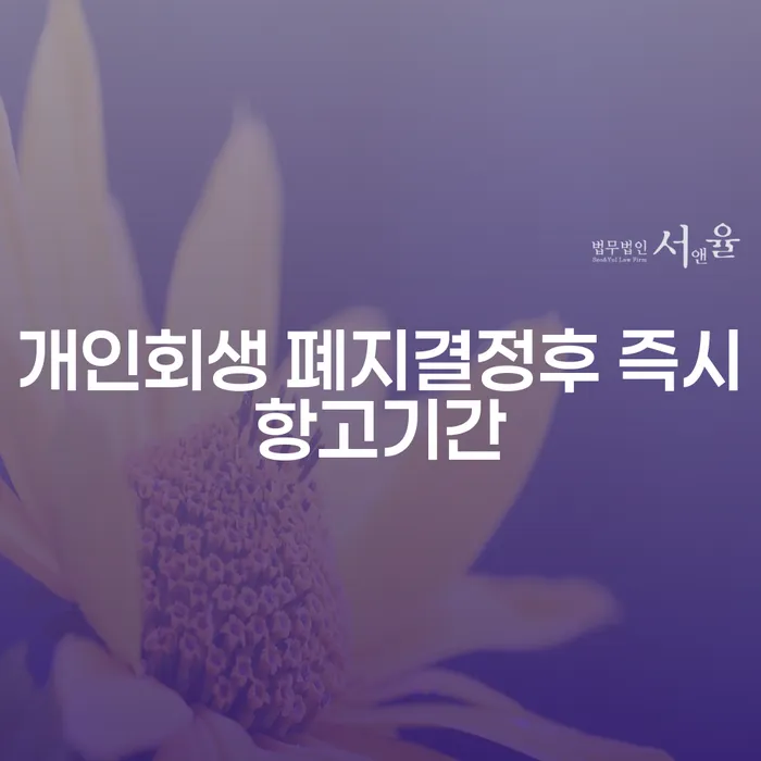 개인회생 폐지결정후 즉시항고기간, 어떻게 대처해야 할까요?